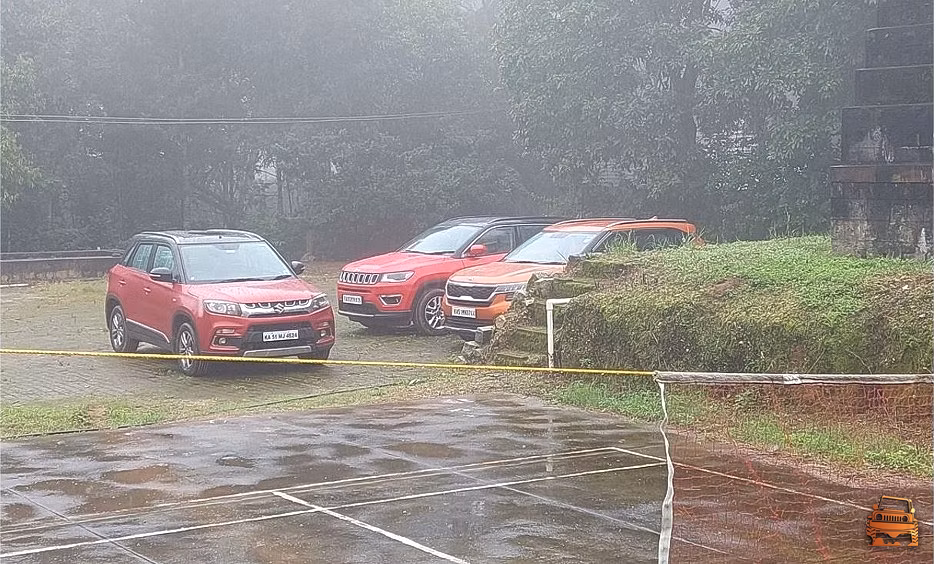 Walk through the plantation