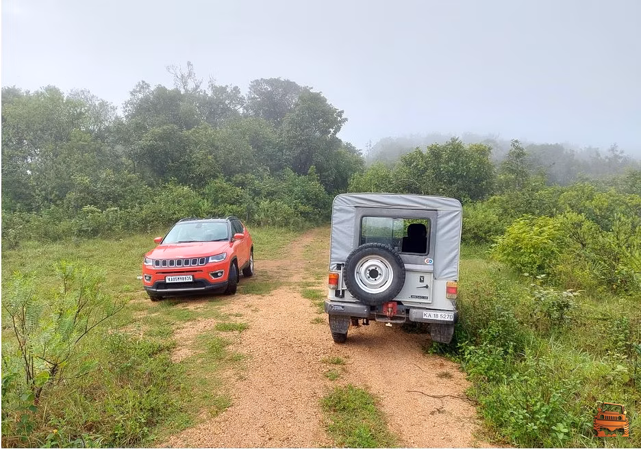 Max had fun exploring the new terrain