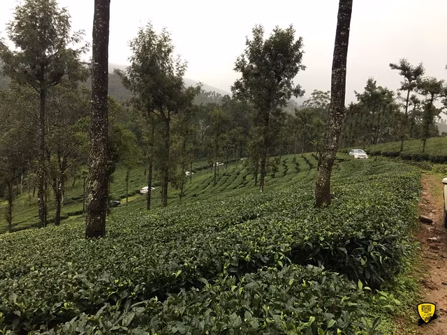 God's Own Jeeper's Monsoon Trails to Valparai