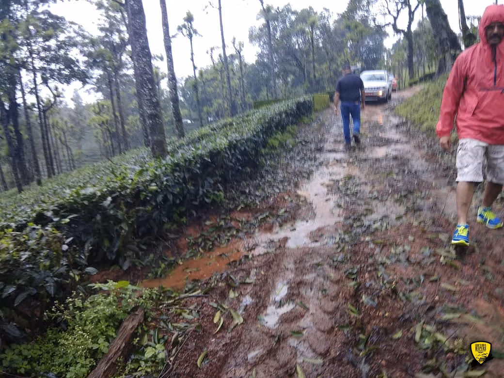 God's Own Jeeper's Monsoon Trails to Valparai