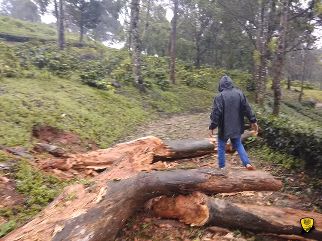 God's Own Jeeper's Monsoon Trails to Valparai