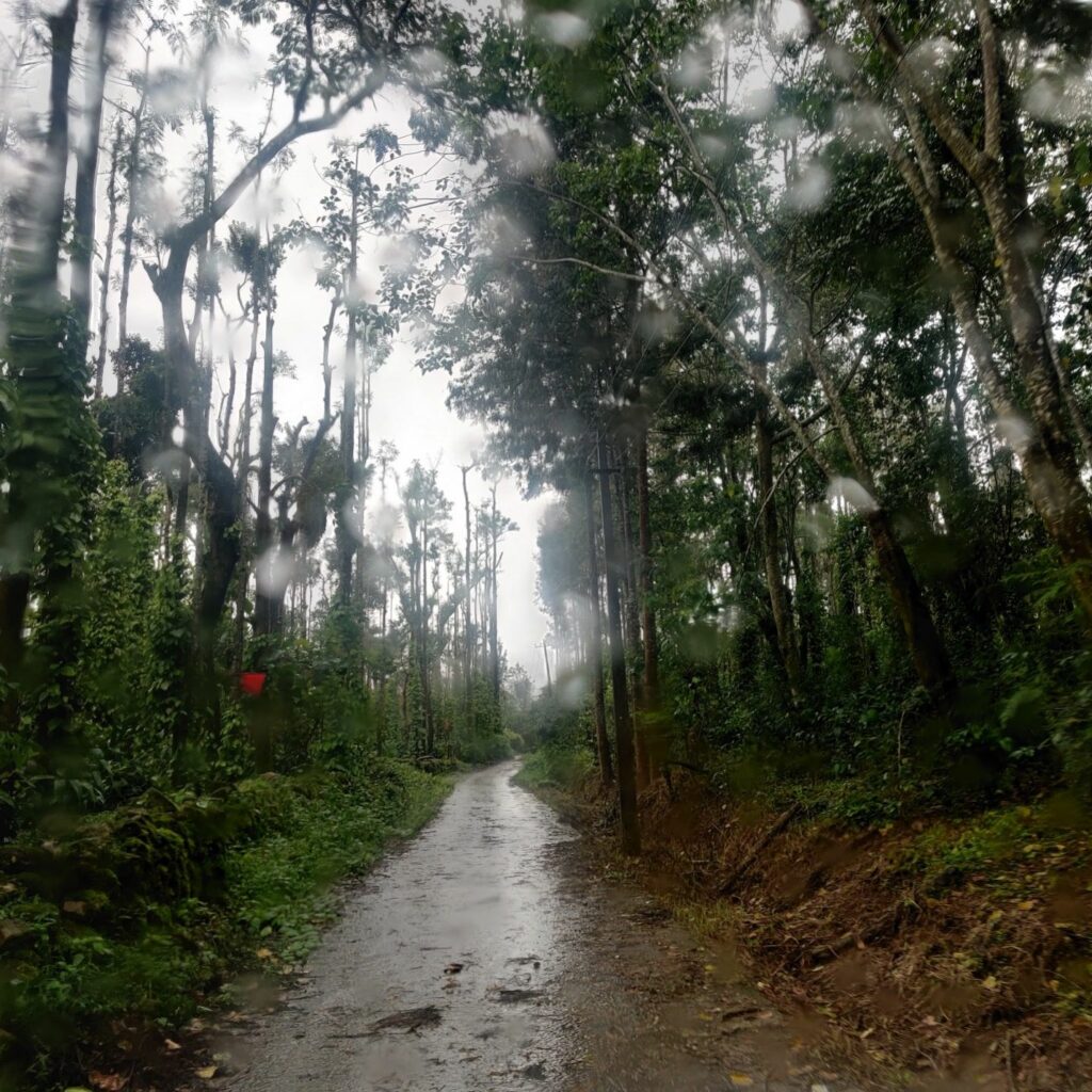 Arun Chickmagalur