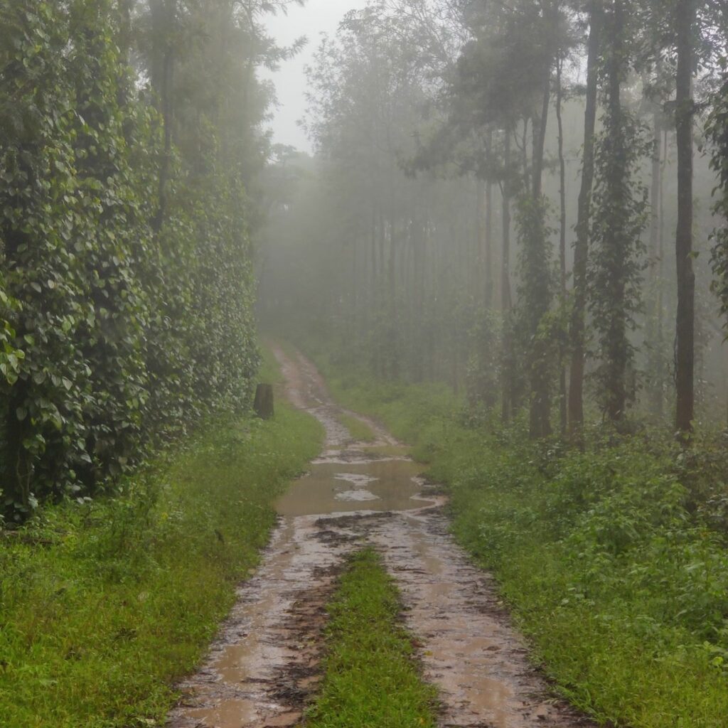 Arun Chickmagalur